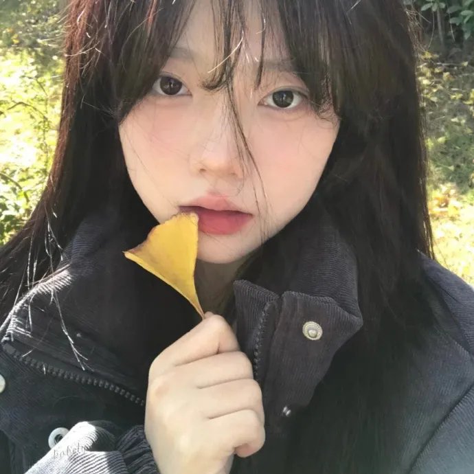 寂静的山林